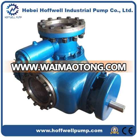 W. V Multi-phase Heavy Oil Double Screw Pump