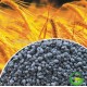 Bio Granular Fertilizers in Agricilture